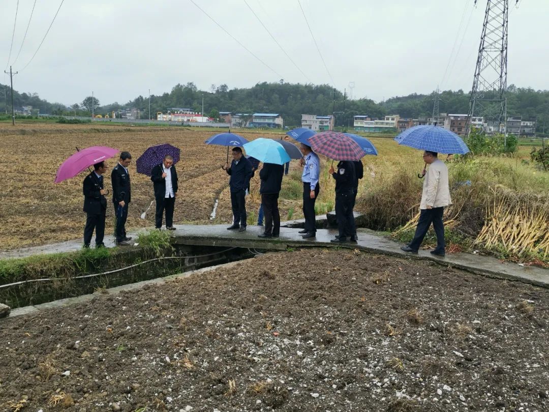 屏錦鎮(zhèn)最新新聞速遞，最新報(bào)道一覽無(wú)余