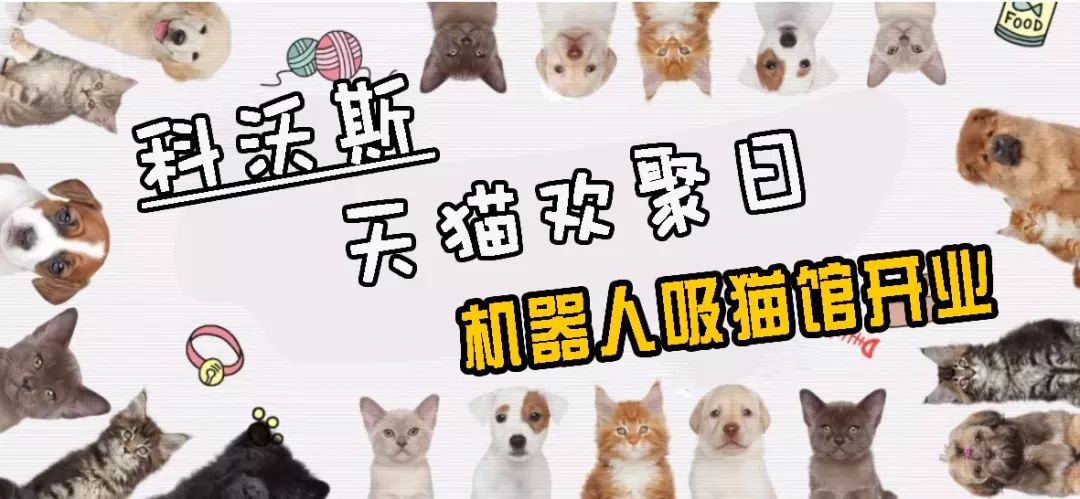 澳門一碼一肖一待一中四不像今天091期44-4-36-15-26-35T：34
