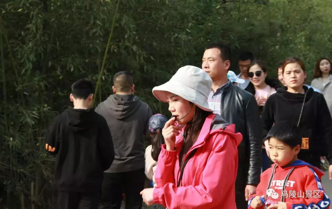新沂市最新領(lǐng)導(dǎo)班子揭秘，形成背景與未來展望