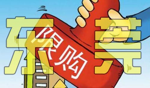 東莞房貸限購政策最新動態(tài)，調(diào)整與市場反應(yīng)