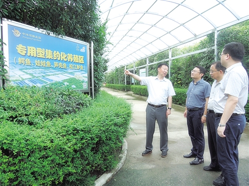 江蘇農(nóng)墾改革邁向高質(zhì)量發(fā)展新征程的最新消息