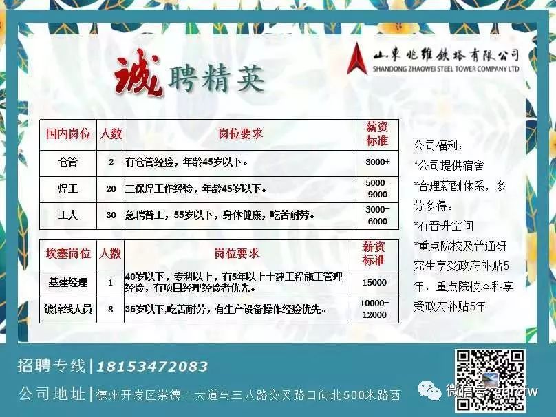 嘉峪關(guān)最新招聘信息網(wǎng)，求職招聘的新平臺(tái)