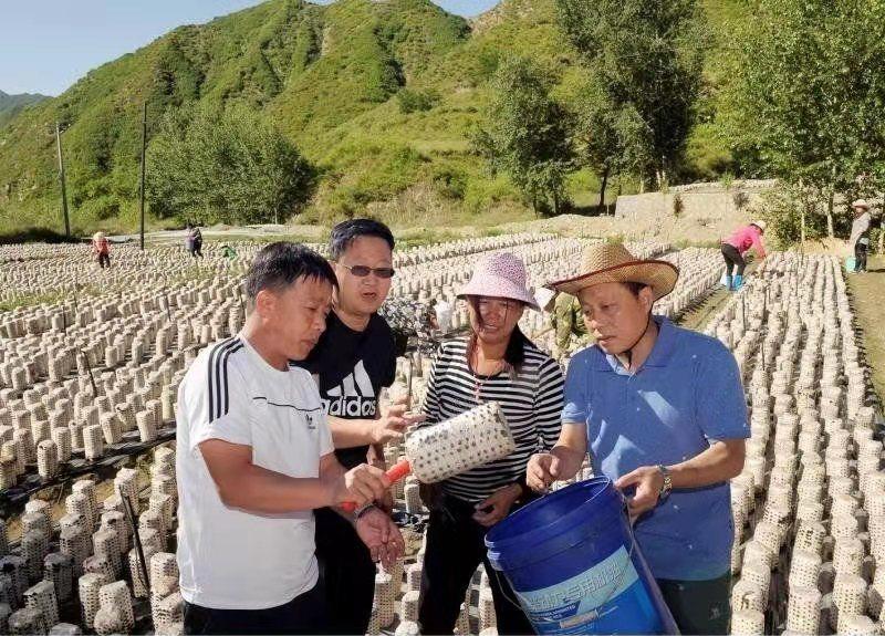 山西掌村委會最新領(lǐng)導(dǎo)團隊一覽/概覽