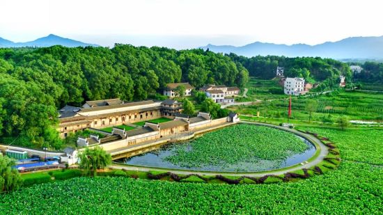 荷葉鎮(zhèn)最新項(xiàng)目，引領(lǐng)地方發(fā)展的強(qiáng)大動(dòng)力源泉