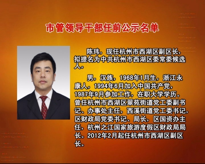 杭州市副市長最新分工概況概述
