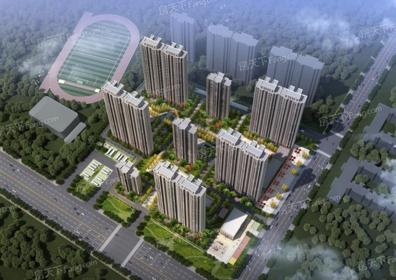 蔡甸新福茂最新信息概述及動(dòng)態(tài)更新