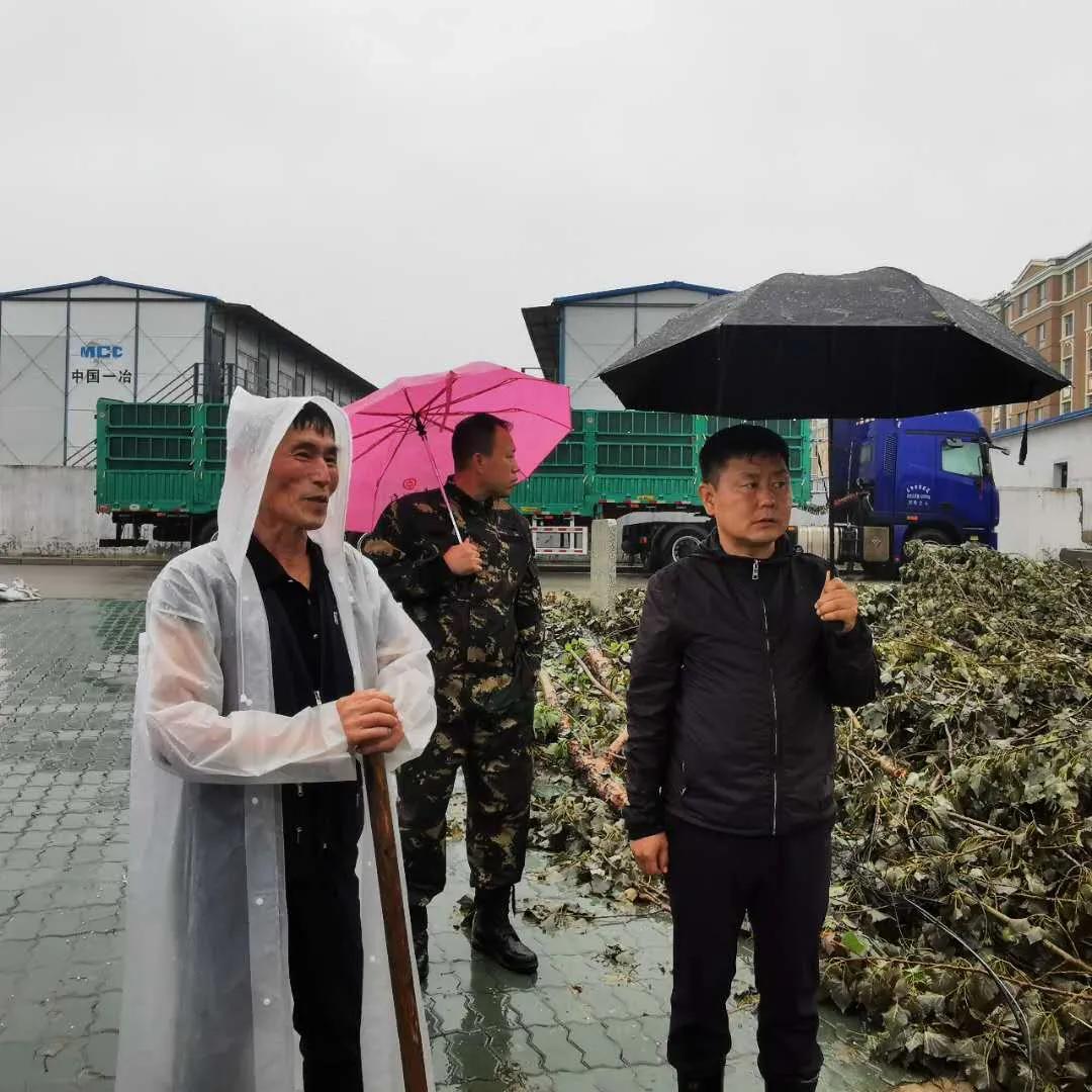 延長縣體育館最新項目，打造現(xiàn)代化體育新地標(biāo)，引領(lǐng)城市新風(fēng)尚
