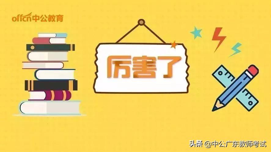 龍華店鄉(xiāng)最新招聘信息全面概覽