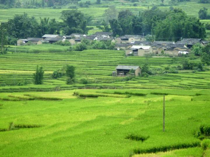章巴村最新項目，鄉(xiāng)村振興新篇章啟動