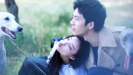 井柏然倪妮最新視頻，甜蜜真實(shí)瞬間曝光