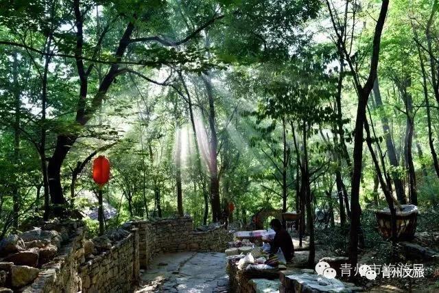 張家淌村委會(huì)最新天氣預(yù)報(bào)概覽