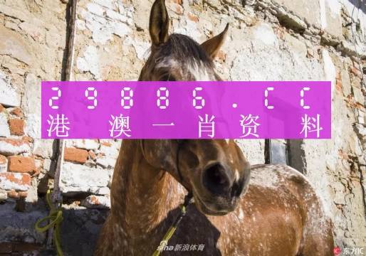 2025澳門精準(zhǔn)正版免費(fèi)四不像和2025新澳正版今晚資料新澳2025年全年正版資料111期48-18-5-30-5-14T：6