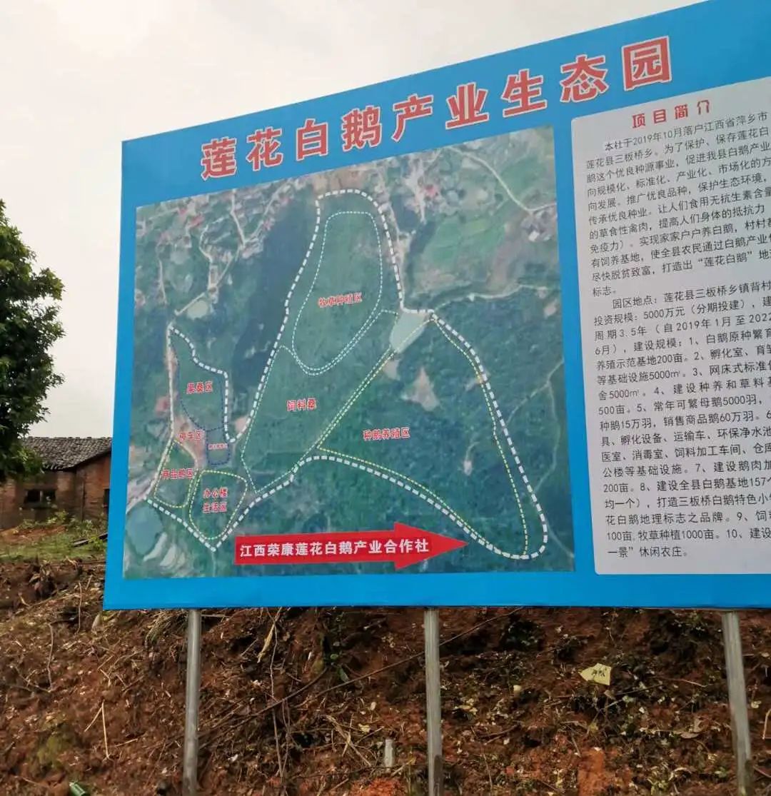 日楚村最新發(fā)展規(guī)劃，邁向繁榮和諧未來之路
