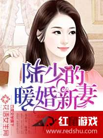 公車系列小說最新章節(jié)，城市生活的微觀探索與人性洞察