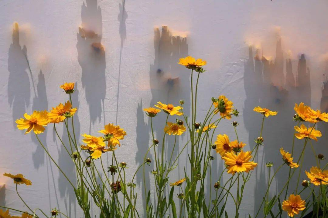 讓芳春 第3頁