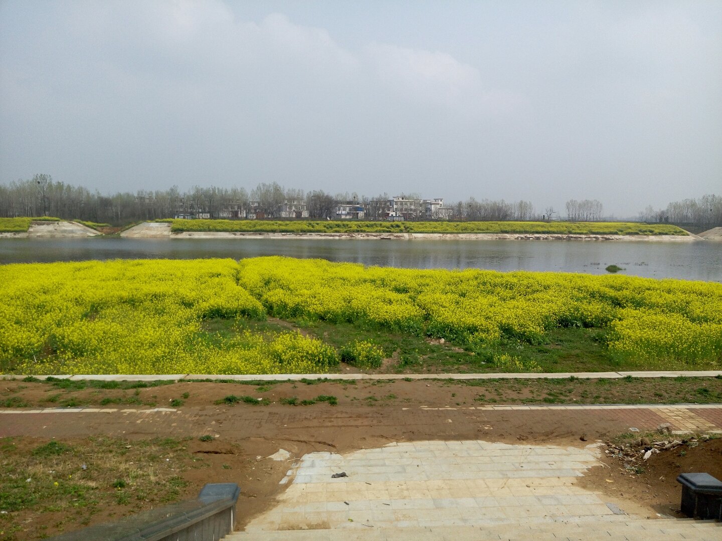 張樓鎮(zhèn)最新天氣預報更新通知
