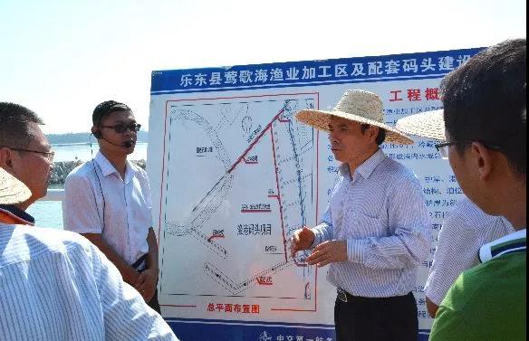 鶯歌海鎮(zhèn)最新領(lǐng)導(dǎo)團隊，引領(lǐng)地方發(fā)展的核心力量揭秘