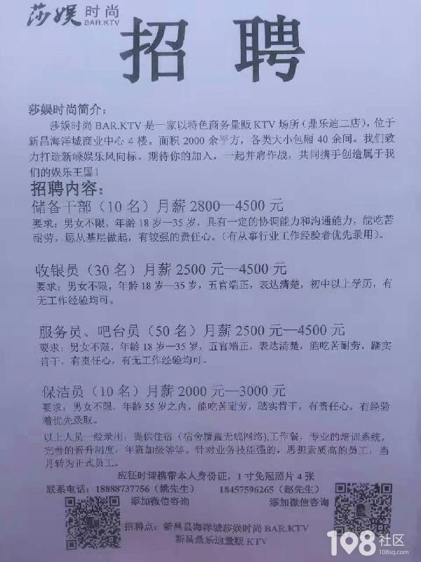 黃鶯鄉(xiāng)最新招聘信息全面概覽