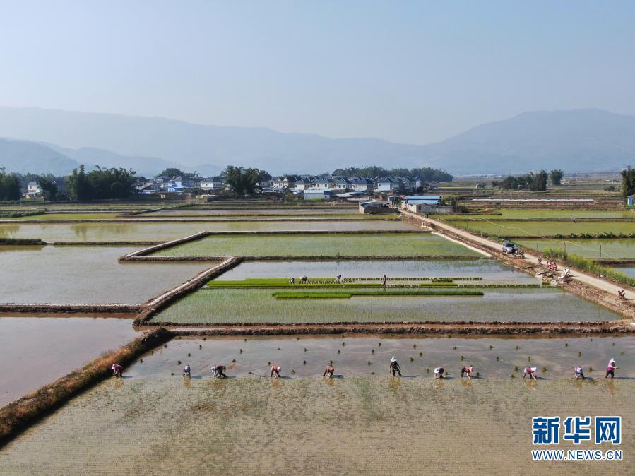 勐遮鎮(zhèn)最新項目，引領地區(qū)發(fā)展的強大引擎