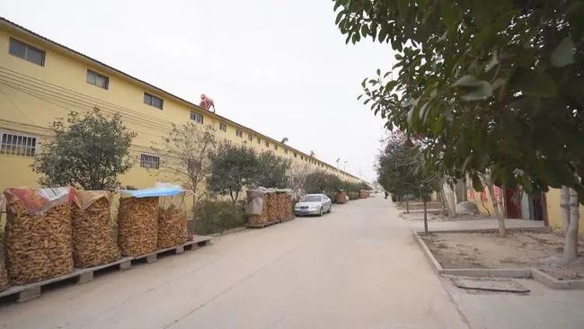 南魯集鎮(zhèn)交通狀況全面升級，助力地方繁榮發(fā)展新聞紀(jì)實(shí)