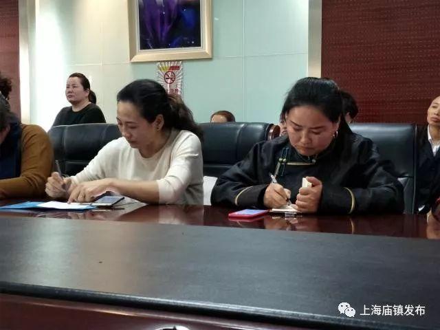 上海廟鎮(zhèn)最新發(fā)展規(guī)劃，塑造未來城市新面貌的新篇章