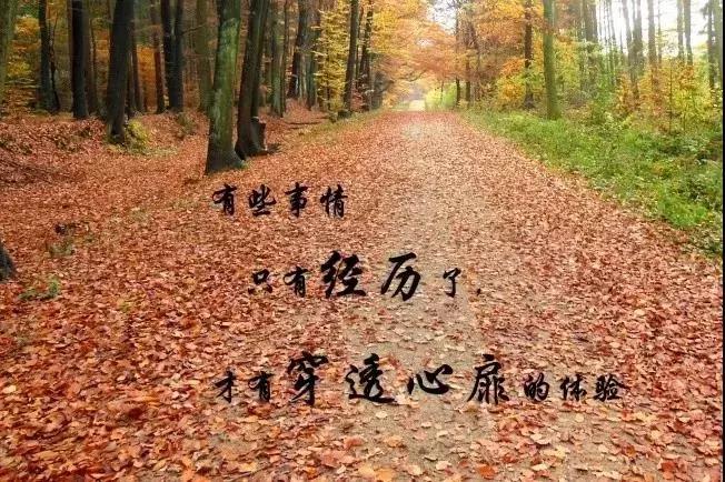 17圖庫(kù)大全免費(fèi)資料圖和全面釋義、解釋與落實(shí)與警惕虛假宣傳