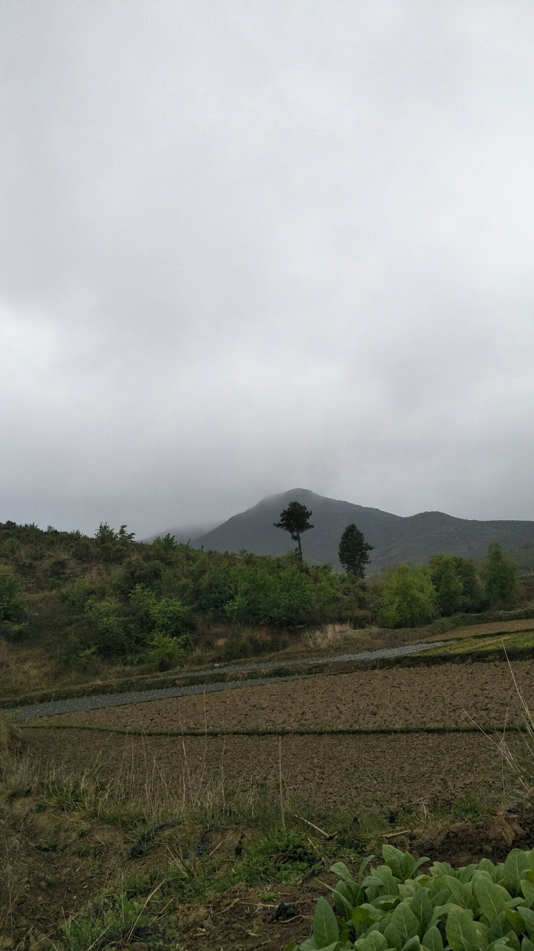 古竹鄉(xiāng)最新天氣預(yù)報更新通知