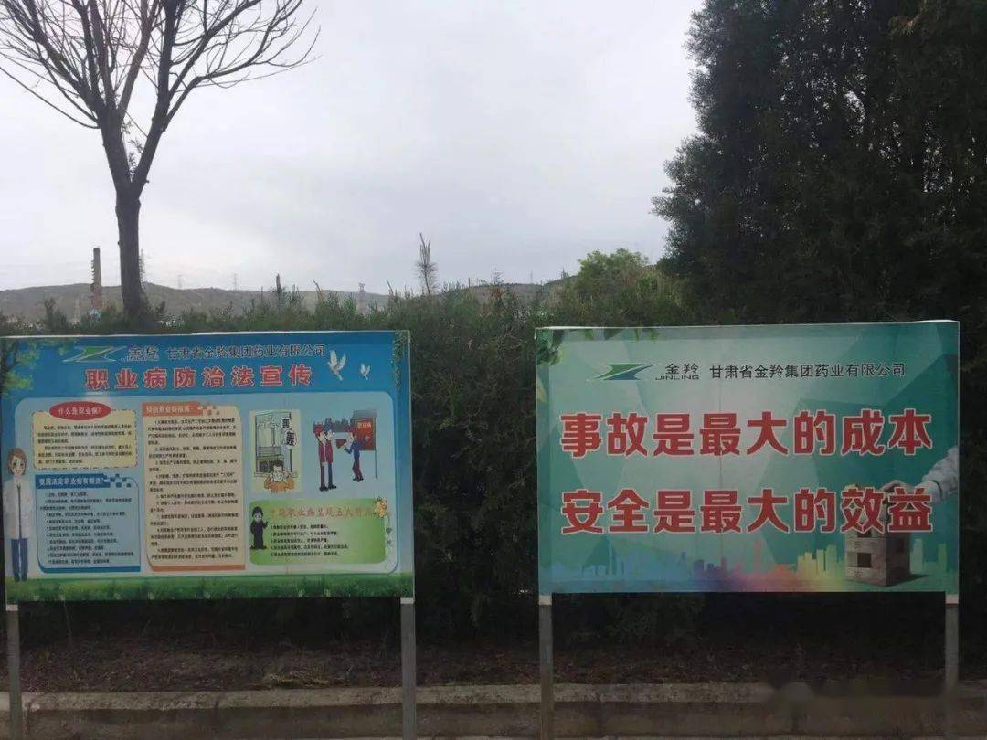 安定區(qū)應(yīng)急管理局最新招聘信息概覽，職位、要求與申請指南
