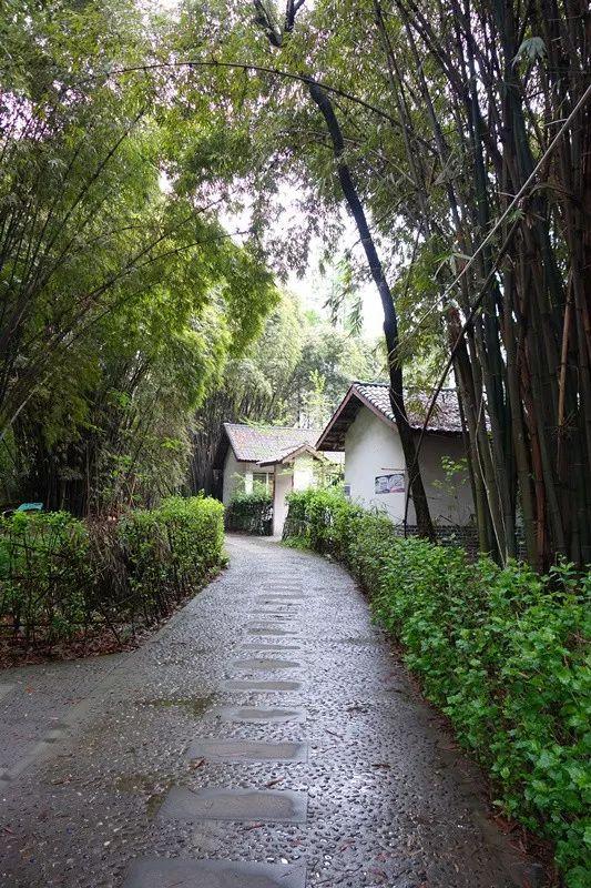 花籬社區(qū)新項目重塑城市生活典范
