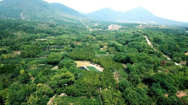 林頭鎮(zhèn)最新項目，引領(lǐng)地區(qū)發(fā)展的強大動力源泉