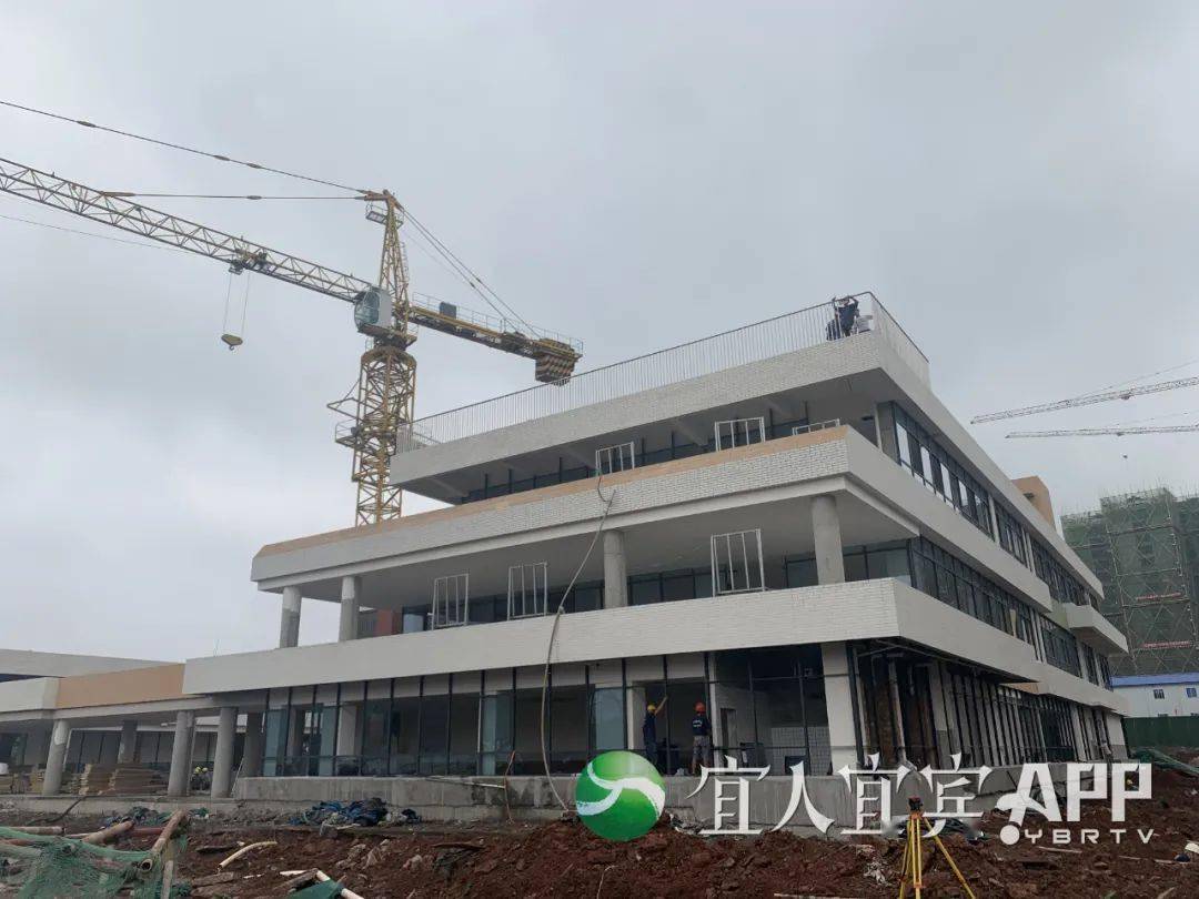 鐵山區(qū)統(tǒng)計局最新招聘信息全解析，崗位、要求與細節(jié)詳解