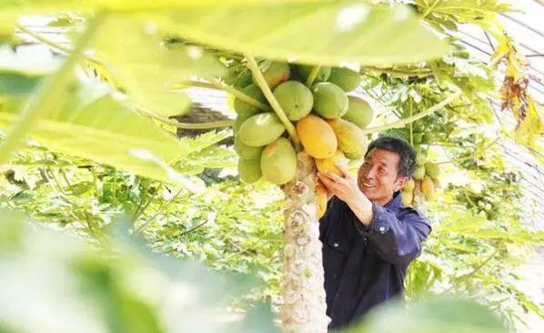 西山區(qū)農(nóng)業(yè)農(nóng)村局最新領(lǐng)導(dǎo)團(tuán)隊(duì)亮相，展望未來(lái)發(fā)展新篇章