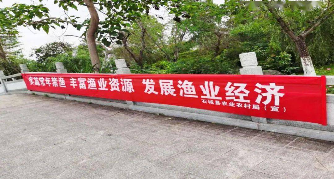 澳門資料大全,全面釋義、解釋與落實-警惕虛假宣傳-全面釋義、解釋與落實