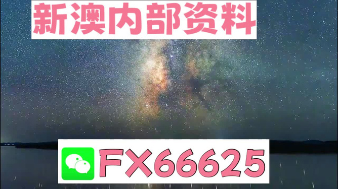 新澳天天開彩正版資料詳細解答、解釋與落實