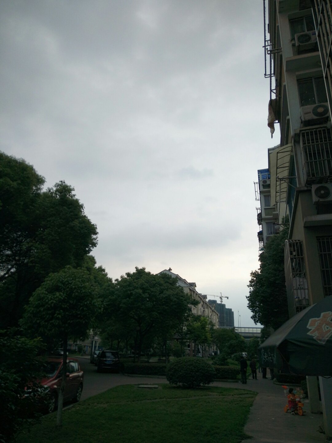 共和路社區(qū)最新天氣預(yù)報更新通知