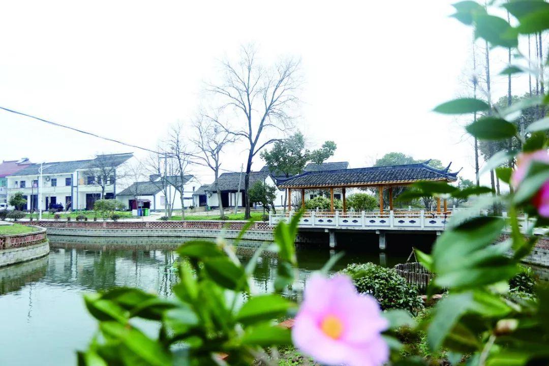 報(bào)恩村最新新聞，鄉(xiāng)村振興與傳統(tǒng)文化共融發(fā)展的典范實(shí)踐報(bào)道