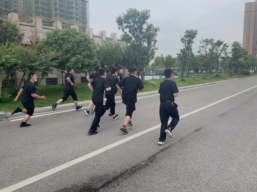 武穴市交通運輸局最新招聘信息公示，招募精英加入！