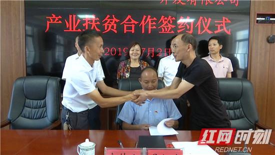 澧源鎮(zhèn)最新招聘信息概覽