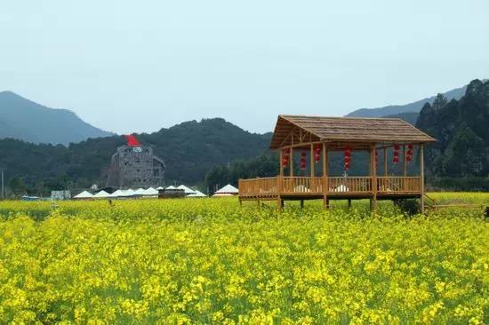 冼村街道最新發(fā)展規(guī)劃，塑造未來(lái)城市新面貌，展望嶄新篇章