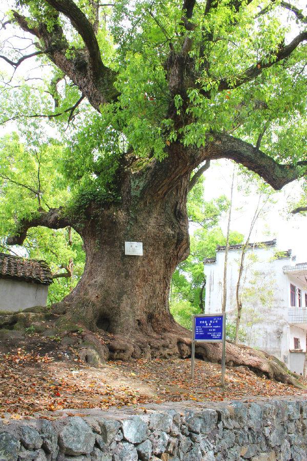 歙縣發(fā)展和改革局最新動態(tài)報道