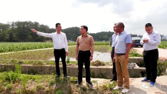 赤坑鎮(zhèn)最新項目，引領(lǐng)地方發(fā)展的強大動力源泉