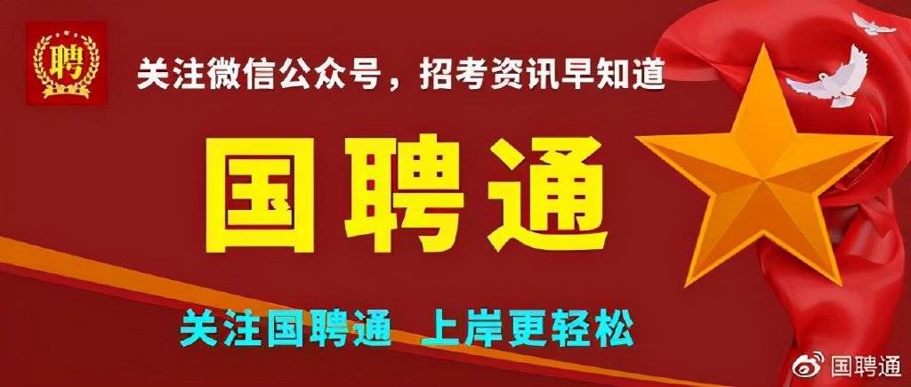 哈爾濱市糧食局最新招聘信息概覽，職位、要求及申請(qǐng)指南