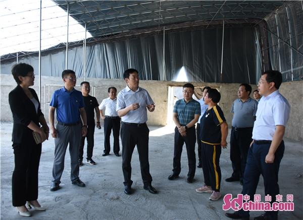 柏林莊街道新項(xiàng)目重塑城市面貌，引領(lǐng)未來發(fā)展方向