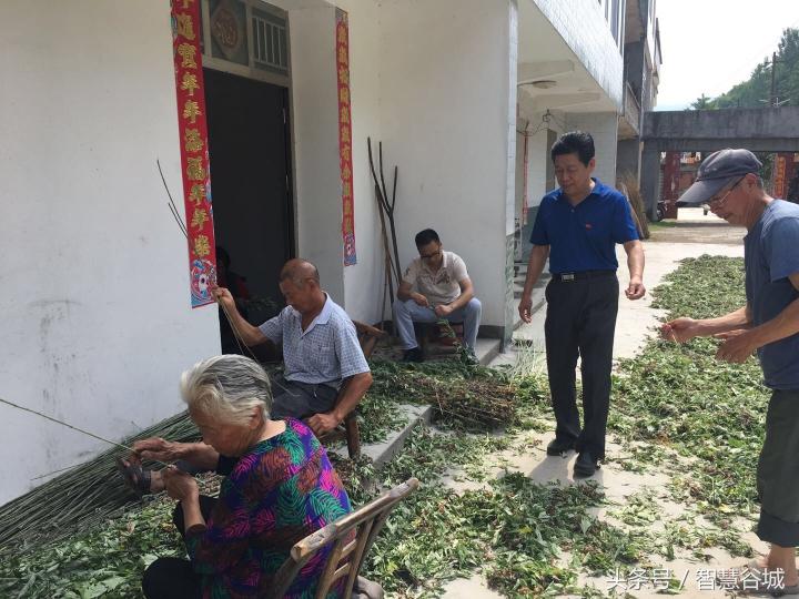 谷城縣審計局未來發(fā)展規(guī)劃，塑造審計新格局，展望發(fā)展新篇章