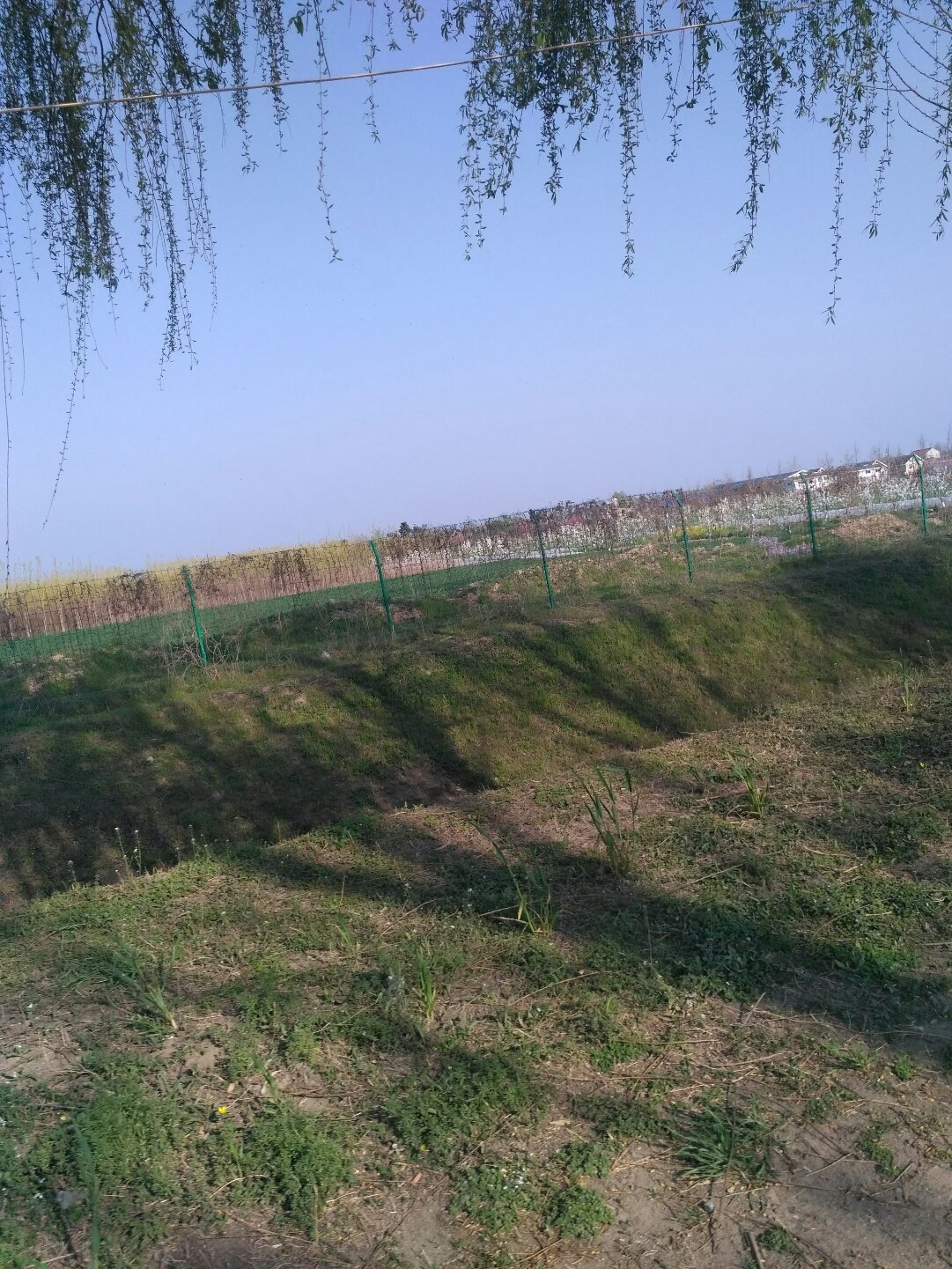 蔡集鎮(zhèn)最新天氣預(yù)報(bào)更新通知