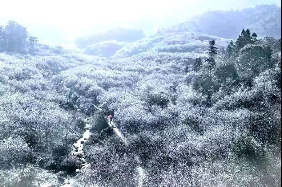 城峰鎮(zhèn)交通狀況全面升級(jí)，助力城市蓬勃發(fā)展新聞發(fā)布