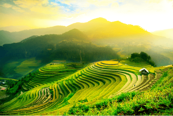 蓮莊鄉(xiāng)最新招聘信息全面概覽