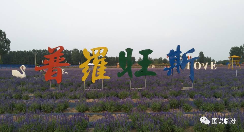 山西省臨汾市堯都區(qū)吳村鎮(zhèn)最新新聞概覽