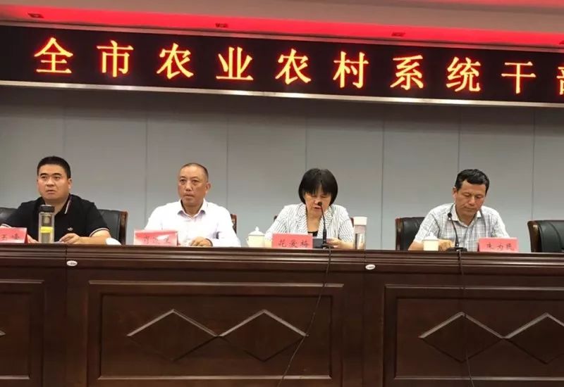 東豐縣農(nóng)業(yè)農(nóng)村局人事任命新動態(tài)，推動農(nóng)業(yè)現(xiàn)代化，助力鄉(xiāng)村振興發(fā)展