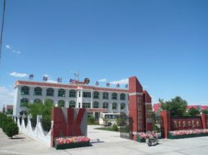 國(guó)營(yíng)敦煌農(nóng)場(chǎng)最新項(xiàng)目，引領(lǐng)農(nóng)業(yè)現(xiàn)代化新篇章